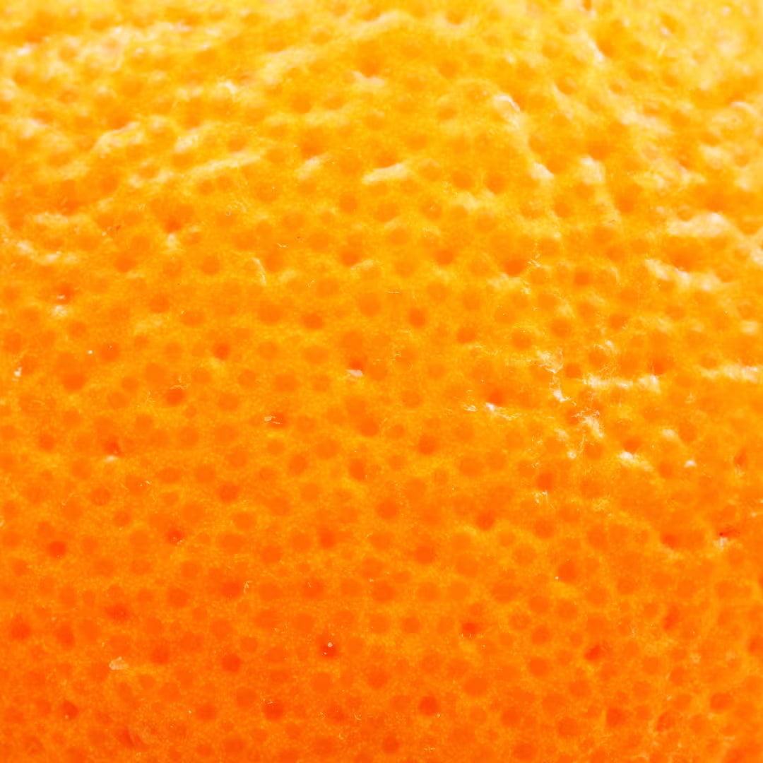 Close-up of an orange peel skin with the pore textured surface.